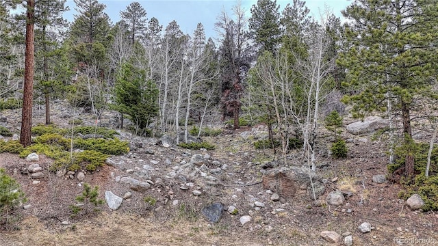 30176 Mountaintop Dr, Buena Vista, CO 81211