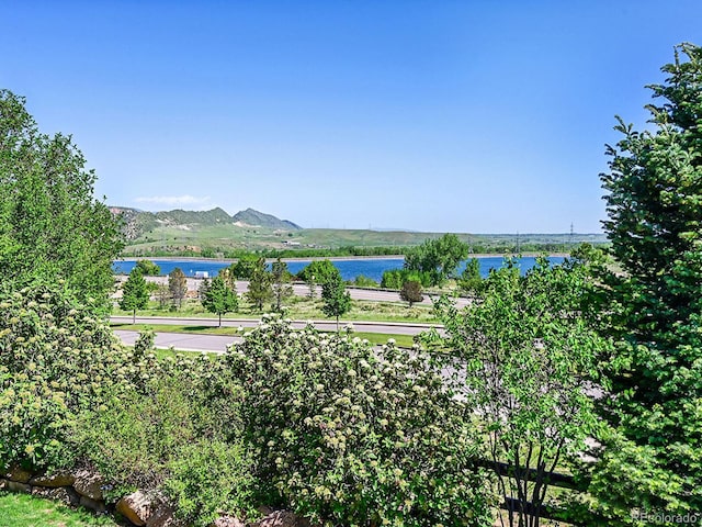 10565 Kicking Horse Dr, Littleton, CO 80125 - view of community featuring a water and mountain view