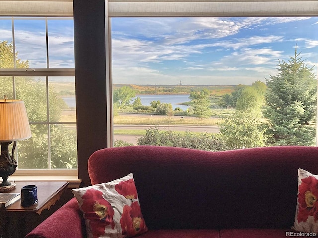 10565 Kicking Horse Dr, Littleton, CO 80125 - interior space featuring nearby water