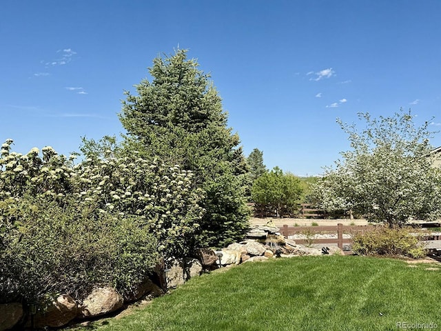 10565 Kicking Horse Dr, Littleton, CO 80125 - view of yard