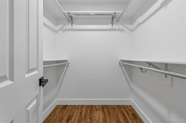 walk in closet featuring dark wood-style floors