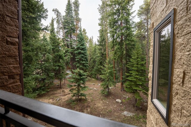 765 Columbine St Unit C203, Breckenridge, CO 80424 - view of yard