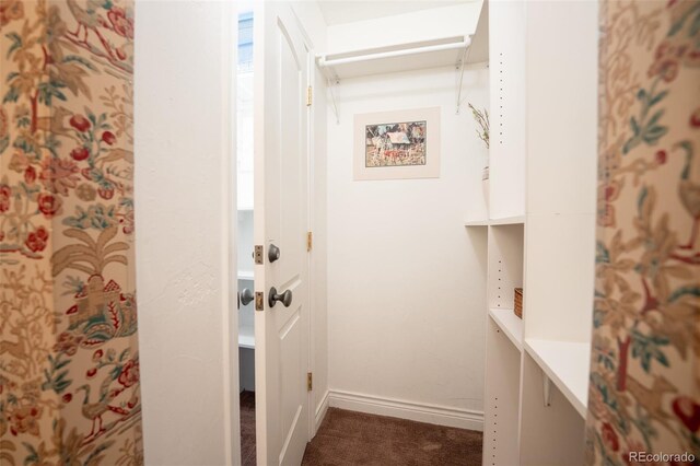765 Columbine St Unit C203, Breckenridge, CO 80424 - hallway featuring carpet and baseboards