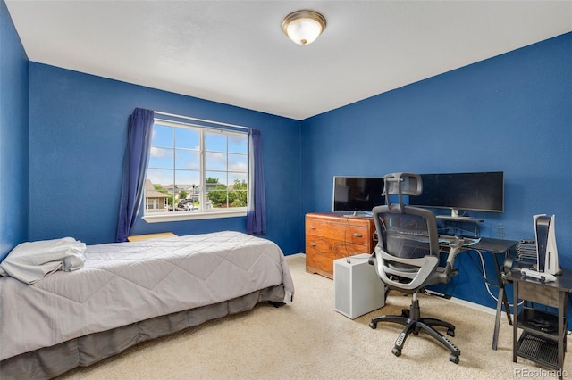 1720 Fletcher Ave, Brighton, CO 80603 - photo 15