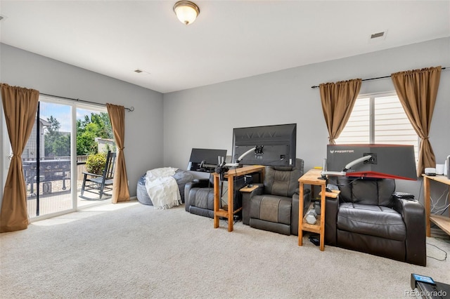 1720 Fletcher Ave, Brighton, CO 80603 - photo 17
