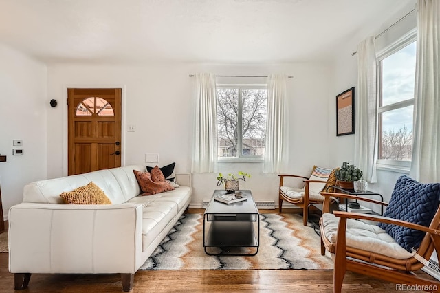 living room with wood finished floors