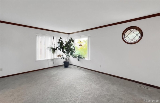 7217 S Zephyr Way, Littleton, CO 80128 - carpeted spare room with crown molding and baseboards