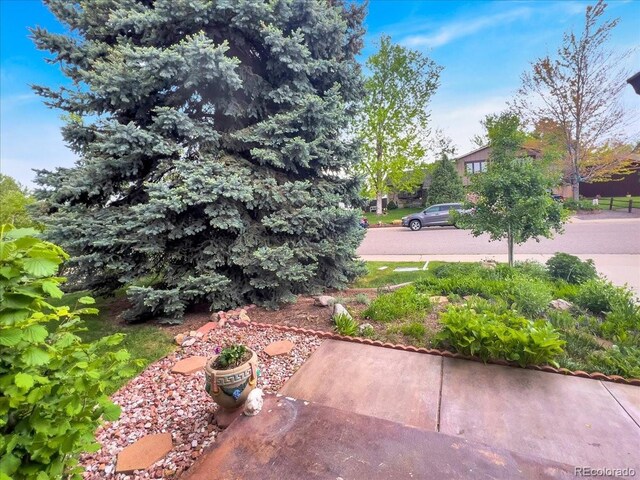 7217 S Zephyr Way, Littleton, CO 80128 - view of yard