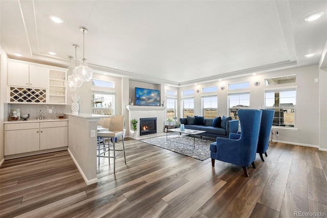 living room featuring dark hardwood / wood-style flooring, plenty of natural light, and a raised ceiling