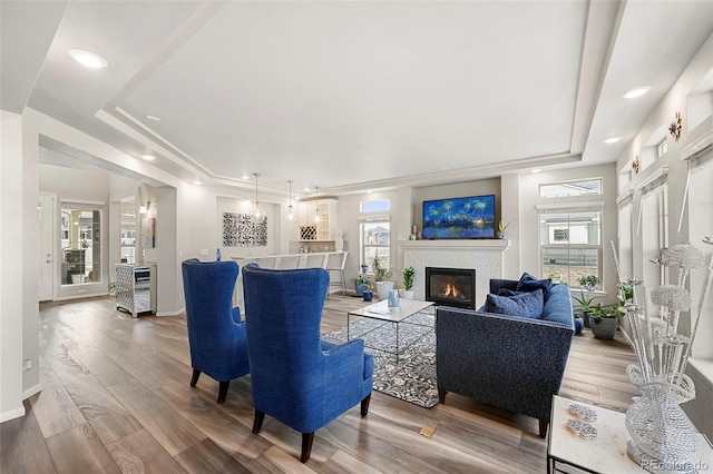 living room with hardwood / wood-style floors, a raised ceiling, and a healthy amount of sunlight