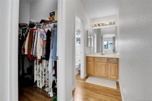 bathroom featuring toilet, wood finished floors, a spacious closet, a textured ceiling, and vanity