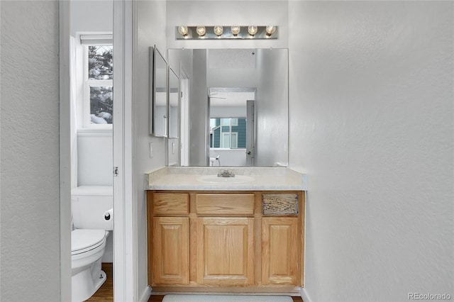 bathroom with toilet, a textured wall, a wealth of natural light, and vanity