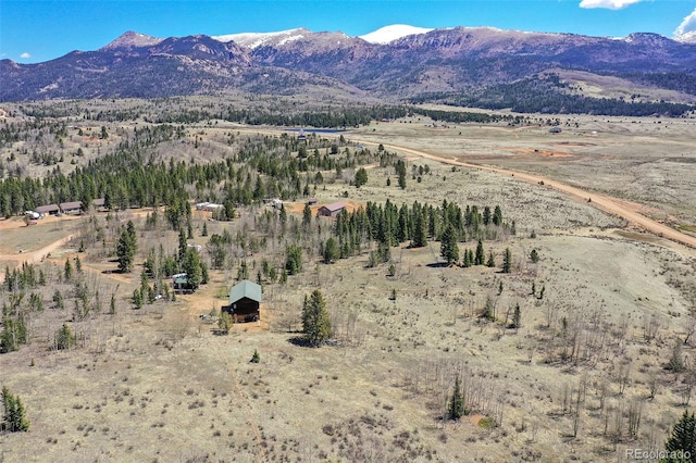 631 County Road 61, Cripple Creek, CO 80813 - mountain view