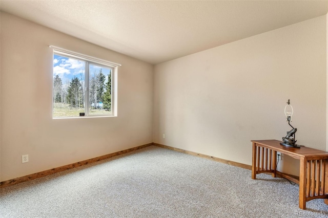 631 County Road 61, Cripple Creek, CO 80813 - carpeted spare room with baseboards