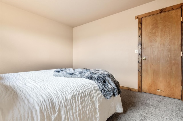 631 County Road 61, Cripple Creek, CO 80813 - carpeted bedroom with baseboards