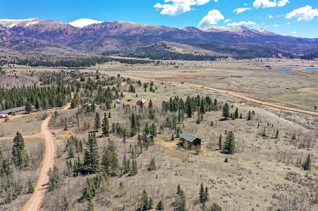 631 County Road 61, Cripple Creek, CO 80813 - view of mountain background