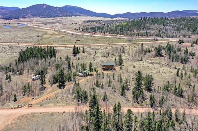 631 County Road 61, Cripple Creek, CO 80813 - view of mountain backdrop