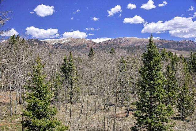 631 County Road 61, Cripple Creek, CO 80813 - view of mountain background featuring a forest