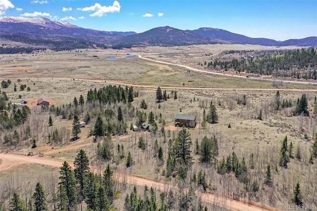 631 County Road 61, Cripple Creek, CO 80813 - mountain view