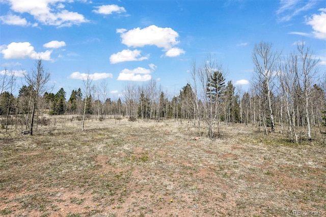 631 County Road 61, Cripple Creek, CO 80813 - view of woods
