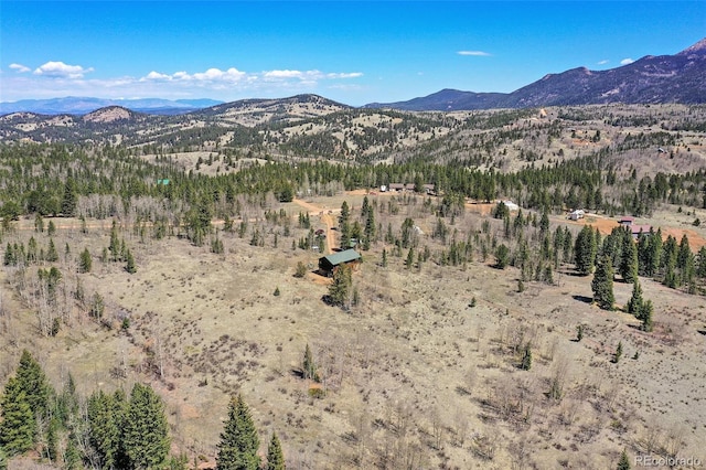 631 County Road 61, Cripple Creek, CO 80813 - view of mountain backdrop