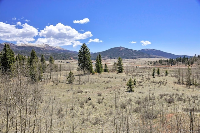 631 County Road 61, Cripple Creek, CO 80813 - mountain view