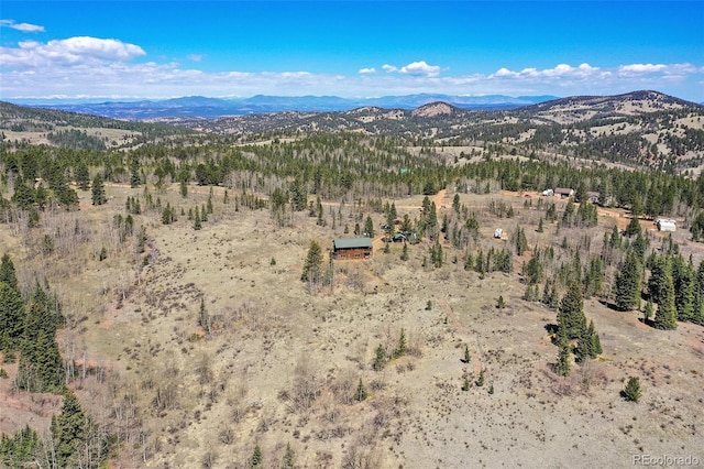 631 County Road 61, Cripple Creek, CO 80813 - view of mountain background