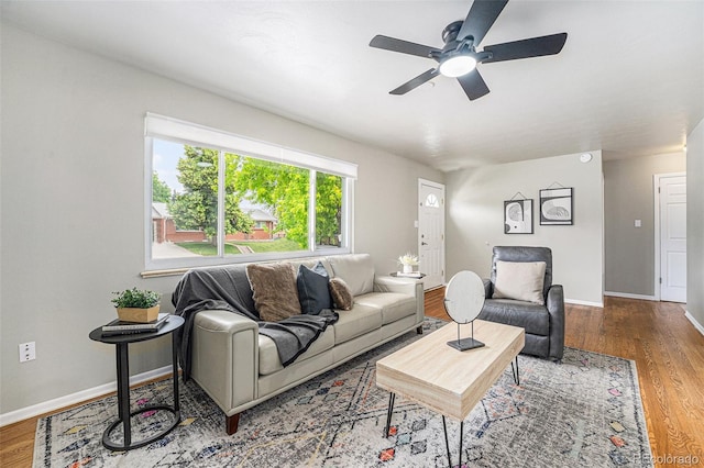 6513 Gray St, Arvada, CO 80003 - living room featuring a ceiling fan and wood finished floors