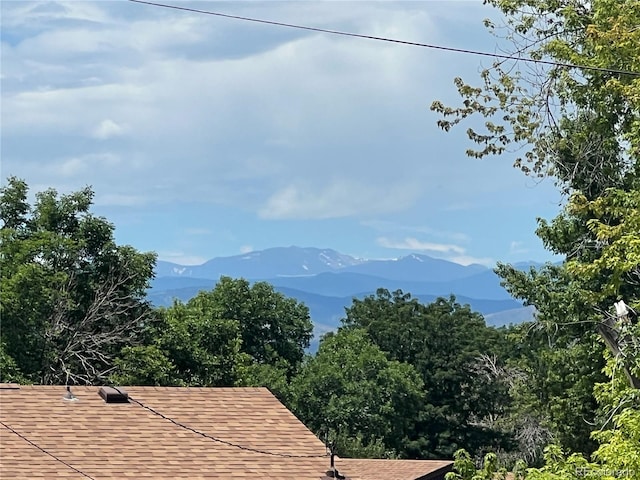 6513 Gray St, Arvada, CO 80003 - photo 17