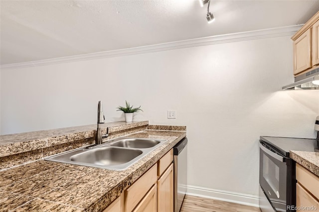 kitchen featuring sink, range hood, stainless steel appliances, light brown cabinets, and crown molding