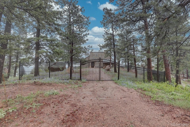 1150 Madge Gulch Rd, Sedalia, CO 80135 - photo 1