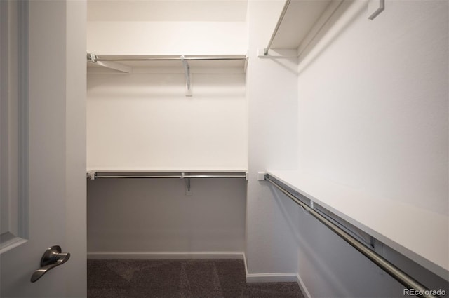 spacious closet featuring carpet floors