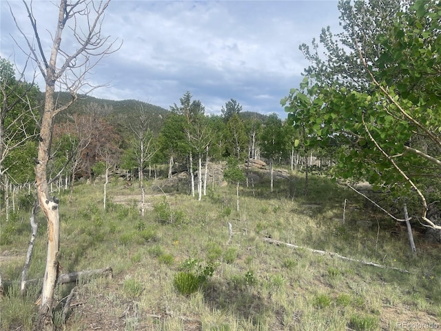 170 Emerald Way, Lake George, CO 80827 - photo 3