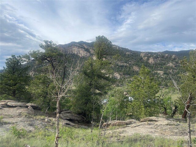 170 Emerald Way, Lake George, CO 80827 - photo 4