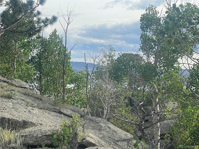 170 Emerald Way, Lake George, CO 80827 - photo 5