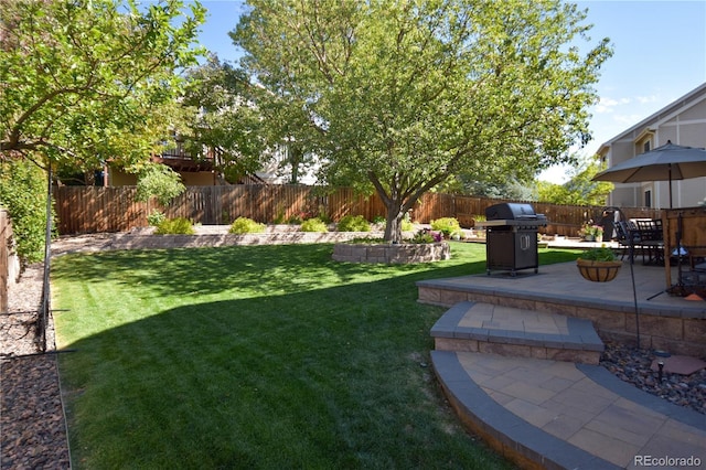 view of yard featuring a patio