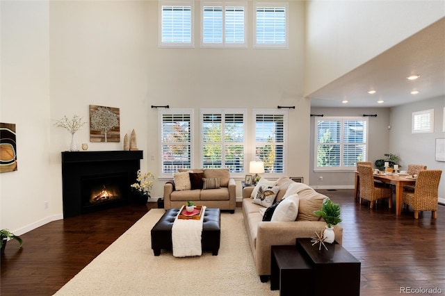 living room featuring dark wood-type flooring and a high ceiling