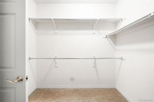 10700 Eliot Cir Unit 103, Westminster, CO 80234 - photo 17