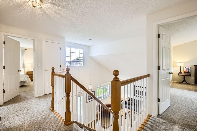 1641 Cedarwood Dr, Longmont, CO 80504 - corridor with light carpet, an upstairs landing, a textured ceiling, and baseboards