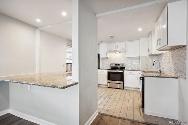 kitchen with stone countertops, under cabinet range hood, a sink, light wood-type flooring, and electric range