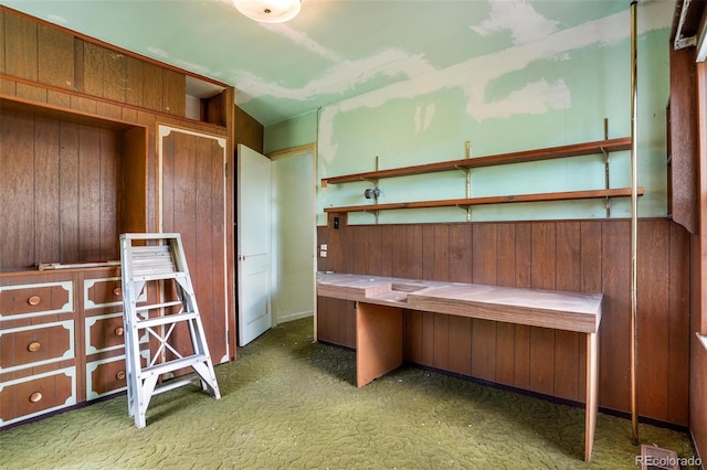 unfurnished office with wood walls and carpet