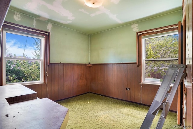 interior space featuring wood walls, plenty of natural light, and a wainscoted wall