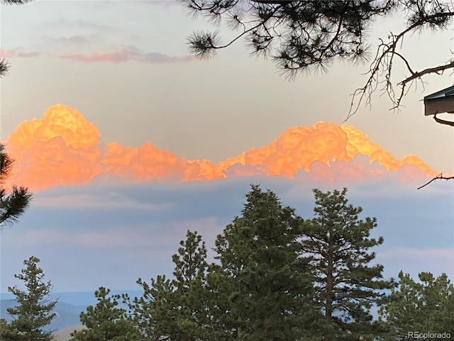 33508 Persistence Ave, Pine, CO 80470 - mountain view
