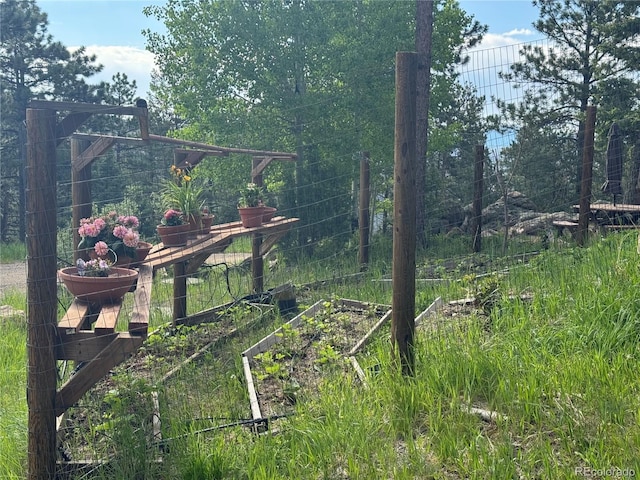 33508 Persistence Ave, Pine, CO 80470 - view of yard featuring a garden