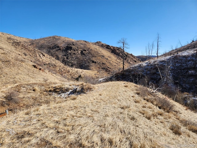 173 Grays Peak Ct, Livermore, CO 80536 - photo 11