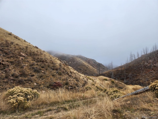 173 Grays Peak Ct, Livermore, CO 80536 - photo 12