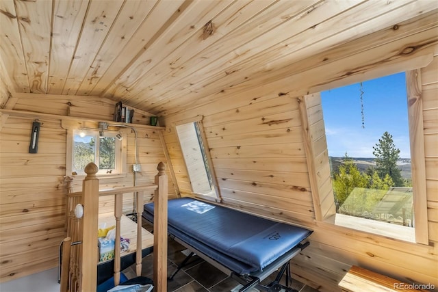 551 Spade Pl, Jefferson, CO 80456 - exercise area with wood walls and lofted ceiling