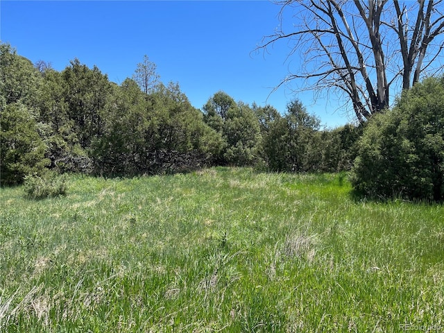 Canyon Dr, Trinidad CO, 81082 land for sale