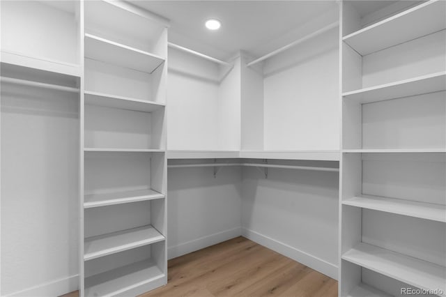 walk in closet with light wood-type flooring