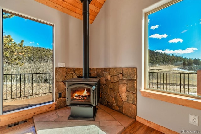 room details with hardwood / wood-style flooring and a wood stove